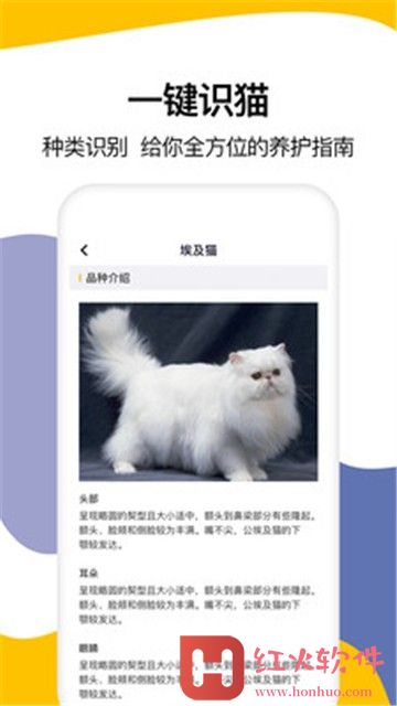 猫语翻译大全